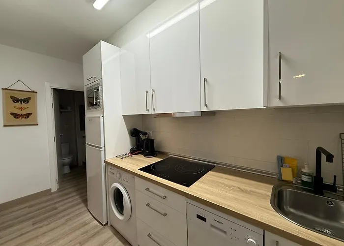 Magnifico En El Centro De 아파트 *